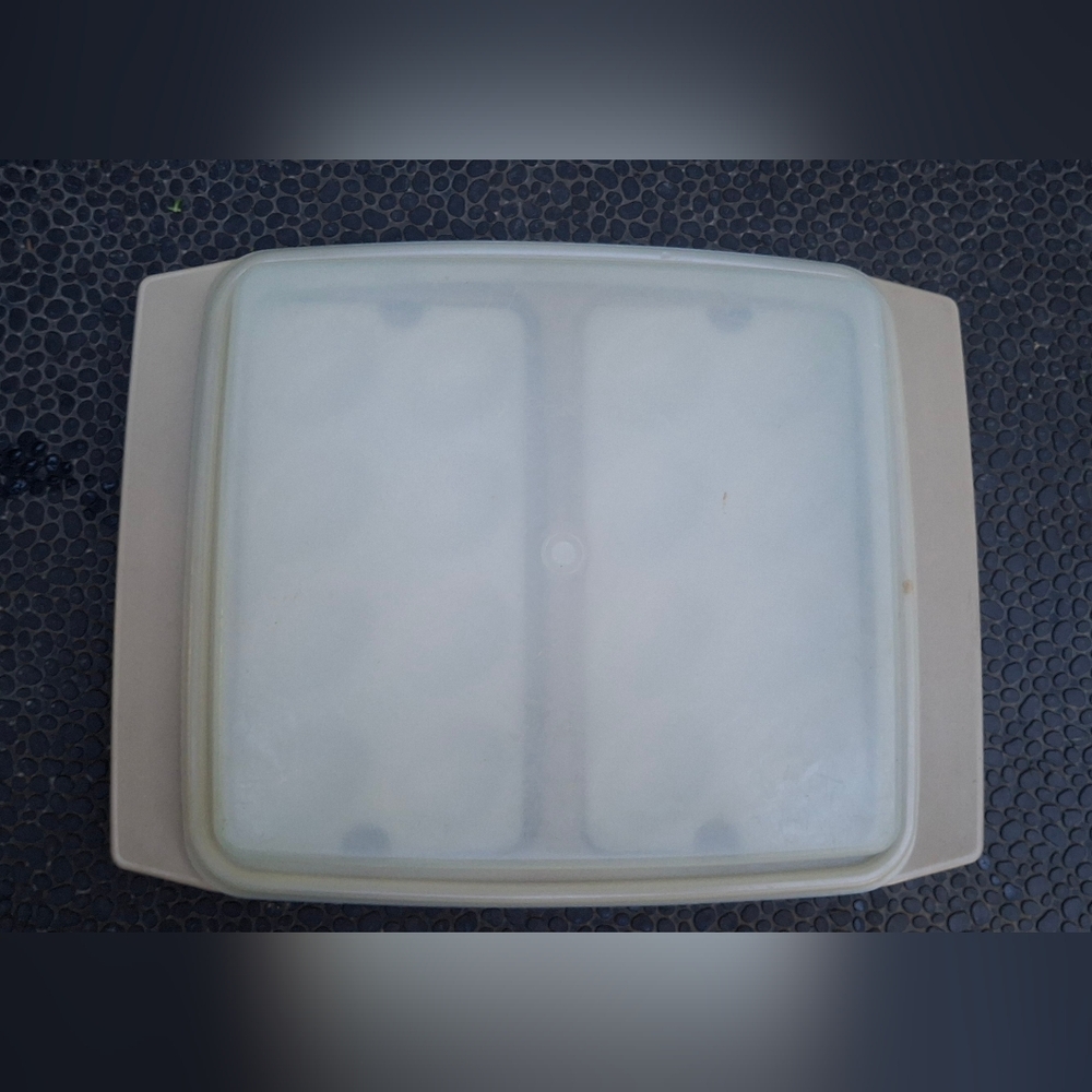 Vintage Tupperware Deviled Egg Keeper Carrier & Lid.